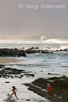 Nenes Jugant al vespre a la platja Ho'okipa, Una de les millors platges On Practicar windsurf Ell i el surf.